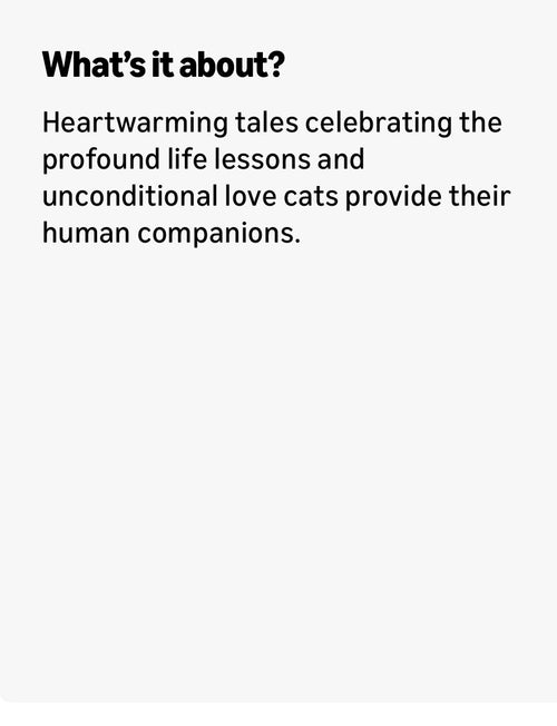 Chicken Soup for the Soul: Lessons Learned From My Cat; Paperback
